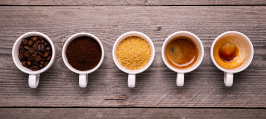 Coffee at Work: The Unsung Hero of Human Connection, Creativity & Culture