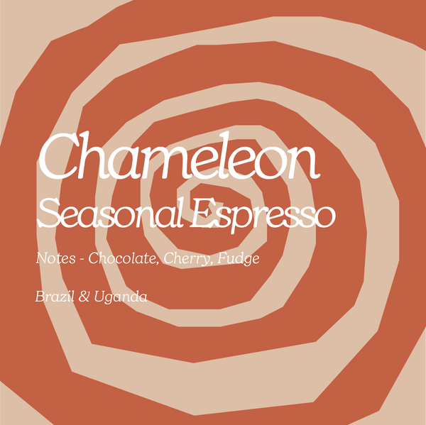 Chameleon