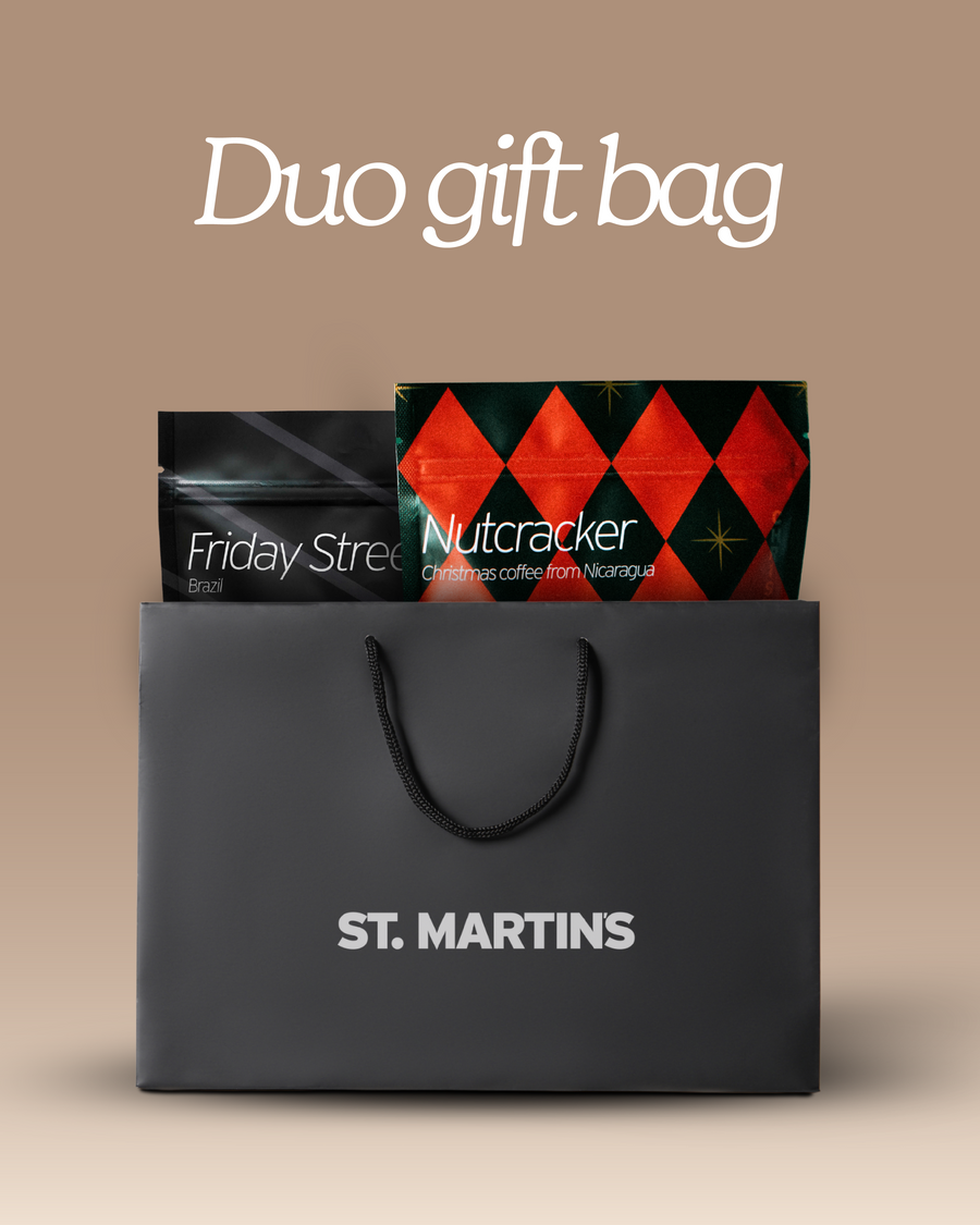 Christmas Duo Gift Bag