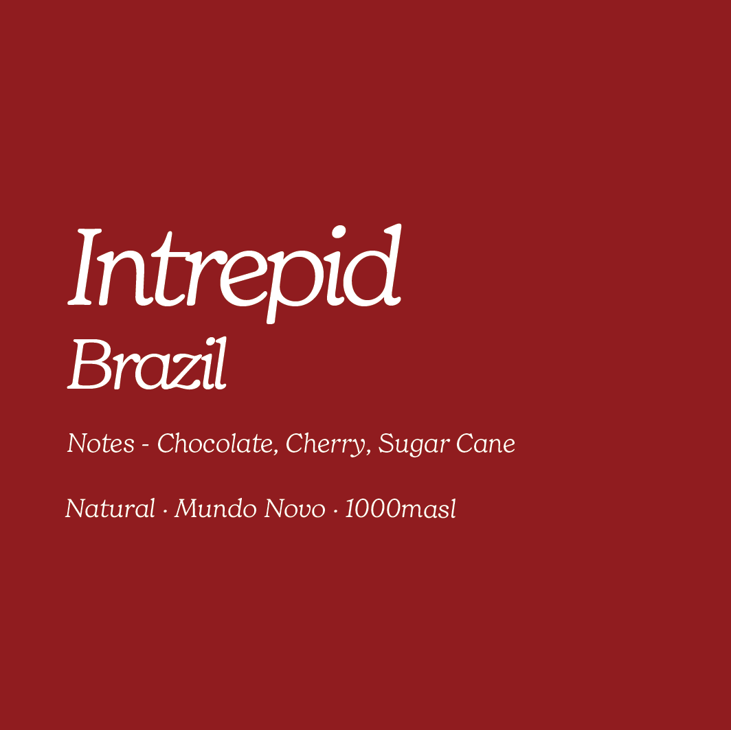 Brazilian Espresso Coffee Beans UK | Intrepid | St Martins Coffee ...