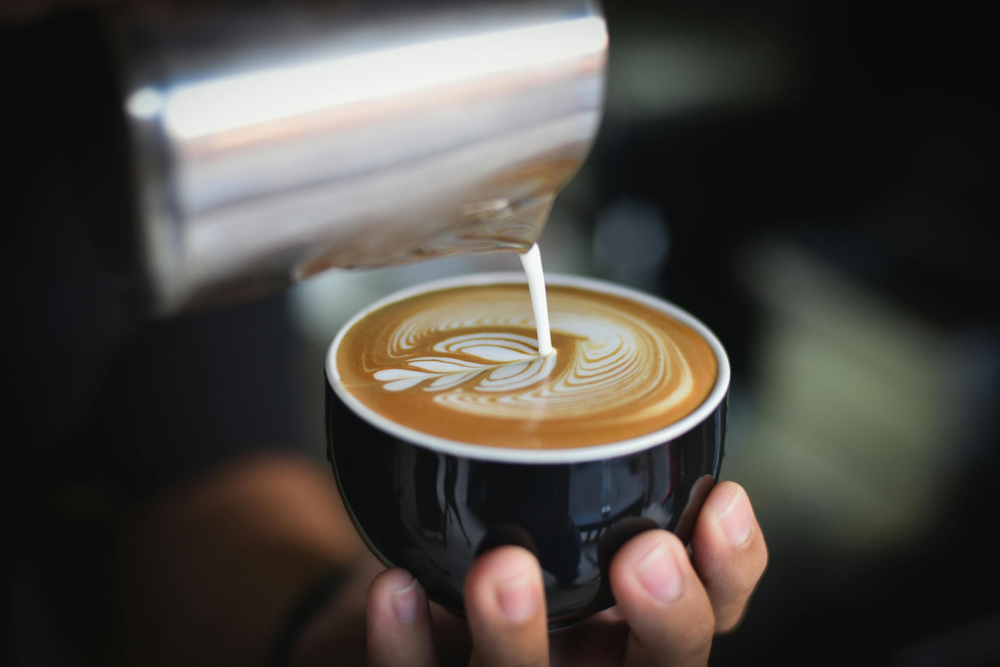 WHOLESALE COFFEE: TRAINING & ADVICE